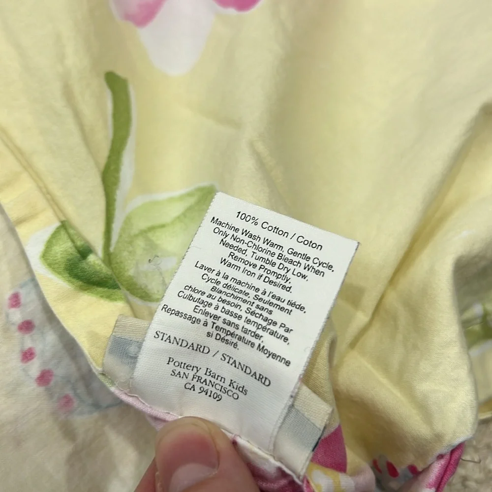 Pottery Barn Duvet cover with 2 standard shams
